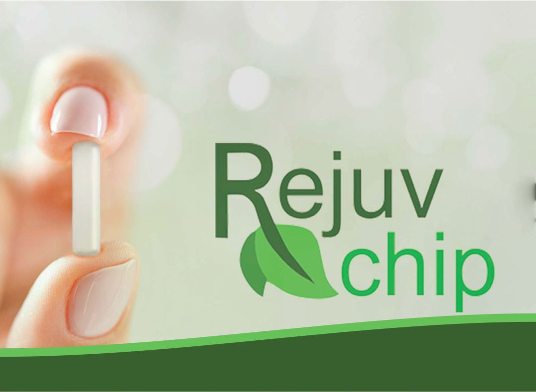 rejuvchip